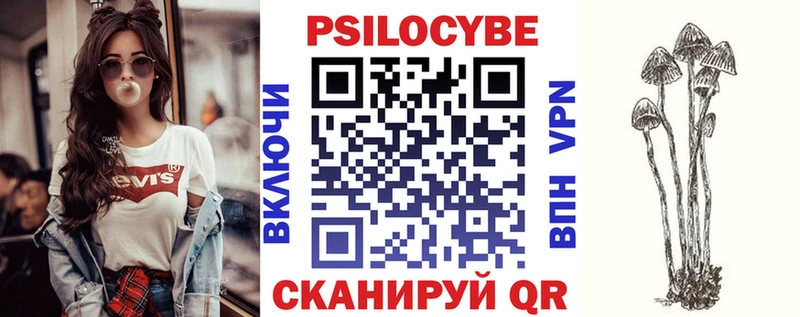 Псилоцибиновые грибы Psilocybe  Кочубеевское 